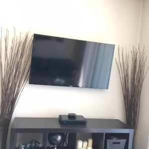 Wall-mounted TV in living room